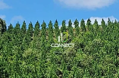 Fazenda à venda, 4477000 m² por r$ 28.000.000,00 - zona rural - bocaiúva do sul/pr
