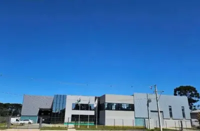 Barracão / galpão / depósito à venda na rua josé custódio dos santos, 1821, eucaliptos, fazenda rio grande, 2400 m2 por r$ 12.000.000