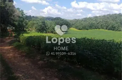 Terreno comercial à venda na rodovia dos minérios, 7988, tranqueira, almirante tamandaré, 14519 m2 por r$ 3.000.000