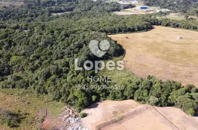 Terreno comercial à venda na rua maria dalprá berlesi, 102, canguiri, colombo, 20000 m2 por r$ 3.000.000