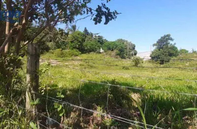 Terreno à venda, 5476 m² por r$ 13.000.000,00 - topolândia - são sebastião/sp