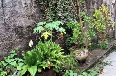 Casa com 2 dormitórios à venda, 42 m² por r$ 250.000,00 - vila granada - são paulo/sp