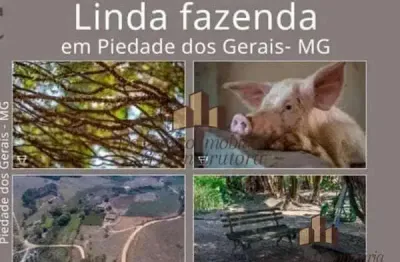 Chácara / sítio com 5 quartos à venda na praça coronel lazarino pereira, 26, 111, centro, piedade dos gerais por r$ 2.600.000