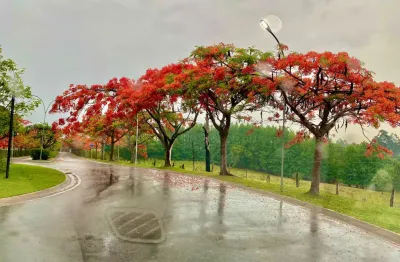 Lindo terreno praticamente plano com 1000m² no condomínio terras caxambu