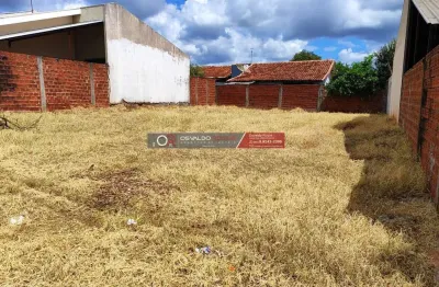 Terreno para Venda em Presidente Castelo Branco, Jardim Europa