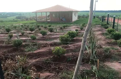 Chácara / sítio com 3 quartos à venda na Rod Deputado Silvio Barros, 00, Centro, Santa Fé