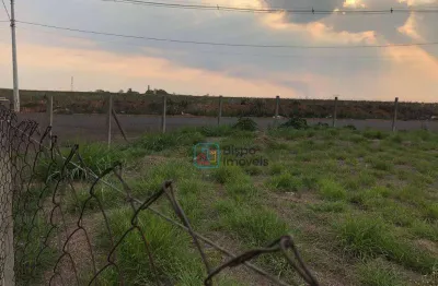 Terreno para alugar, 1300 m² por r$ 3.000,00/mês - parque universitário - americana/sp