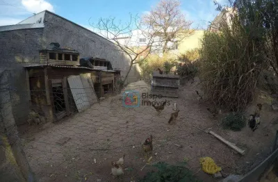 Terreno à venda, 125 m² por r$ 128.000,00 - vila santa maria - americana/sp