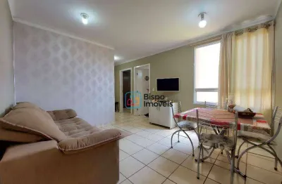 Apartamento com 2 dormitórios à venda, 50 m² - jardim dos lírios - americana/sp