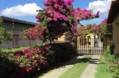 Casa com 4 quartos à venda no Centro, Esplanada 
