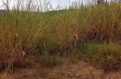 Terrenos para venda em itupeva no bairro jardim primavera