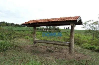 Área à venda, 78000 m² por r$ 1.100.000,00 - borda da mata - caçapava/sp