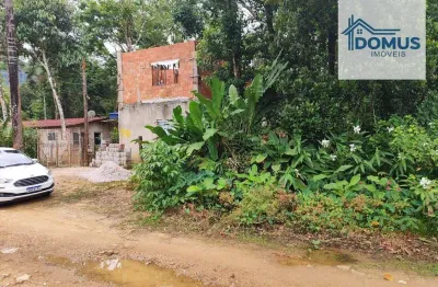 Terreno à venda, 300 m² por r$ 200.000,00 - lagoinha - ubatuba/sp