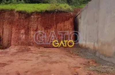 Terreno residencial à venda, são luiz (polvilho), cajamar - te0020.