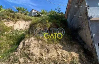 Terreno residencial à venda, panorama (polvilho), cajamar - te0041.