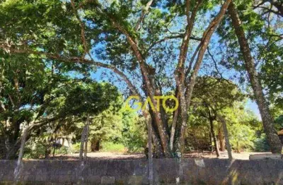 Terreno residencial à venda, ipês (polvilho), cajamar - te0045.