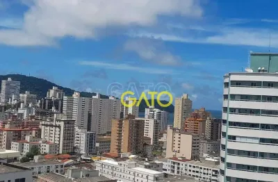 Apartamento residencial à venda, boqueirão, praia grande - ap0166.