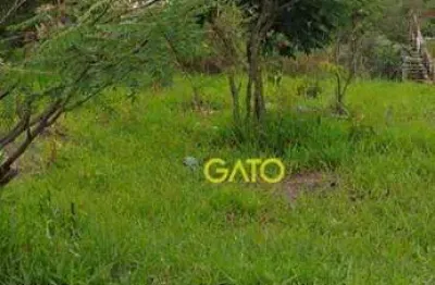 Terreno em cajamar, terreno no polvilho em cajamar/sp