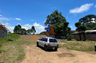 Terreno à venda na Rua Nossa Senhora da Conceição, 1708, Nemari V, Piraquara