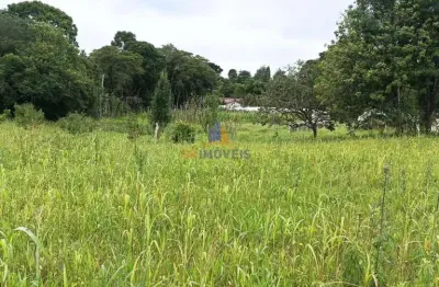 Chácara / sítio à venda na Rua Domingos Maoski, 712, Contenda, São José dos Pinhais