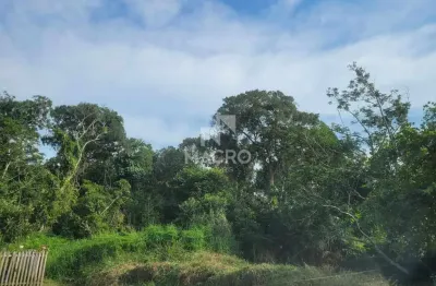 Terreno à venda no Quinta dos Açorianos, Barra Velha 