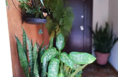 Casa com 4 quartos à venda na Avenida Vereador José Diniz, 4028, Campo Belo, São Paulo