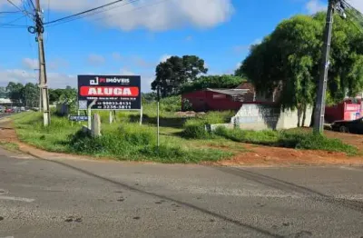 Terreno comercial para alugar no Uvaranas, Ponta Grossa 