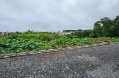 Terreno à venda no Cará-cará, Ponta Grossa 