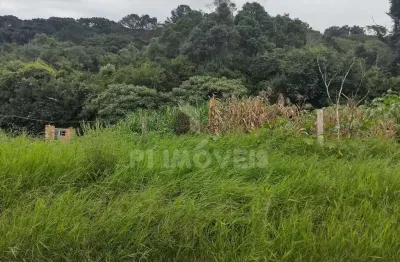 Terreno à venda no Jardim Carvalho, Ponta Grossa 