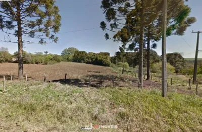 Chácara / sítio à venda na Rua Ipê, Sn, Periquitos, Ponta Grossa