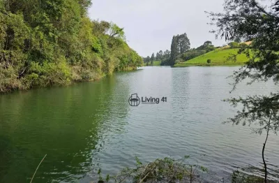 Chácara à venda, 20000 m² por r$ 2.790.000 - ferraria - campo largo/pr