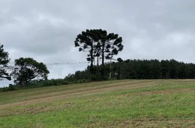 Fazenda à venda, 1306800 m² por r$ 9.000.000 - bom sucesso - castro/pr