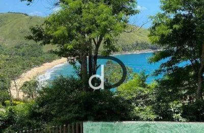 Área à venda, 8000 m² por R$ 3.000.000,00 - Toque Toque Grande - São Sebastião/SP