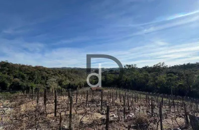 Sítio com 1 dormitório à venda, 23000 m² por R$ 990.000,00 - Engenho Seco - Louveira/SP