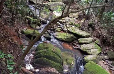 Fazenda à venda na Toca do Leitão, Santa Branca 