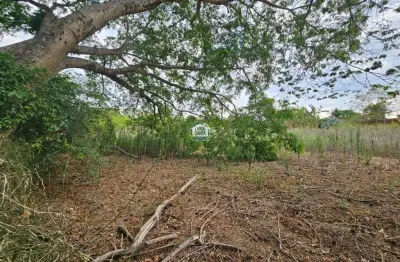 Terreno à venda, 5040 m² por r$ 6.050.000,00 - condomínio estância das amendoeiras - lagoa santa/mg