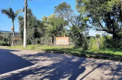 Chácara à venda, 1923 m² por r$ 532.000,00 - aparecida - alvorada/rs