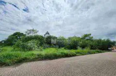 Terreno à venda, 12030 m² por r$ 3.575.000,00 - passo do feijó - alvorada/rs