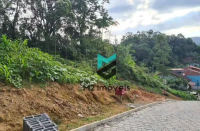 Terreno à venda, 22.975,92 m² por r$ 475.000 - itoupava central - blumenau/sc