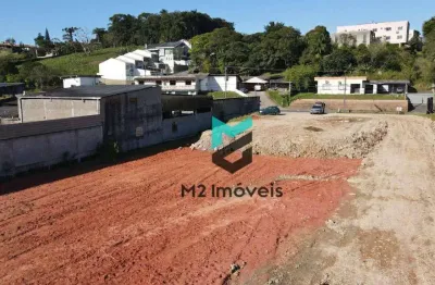 Terreno à venda, 4610 m²  - itoupava central - blumenau/sc
