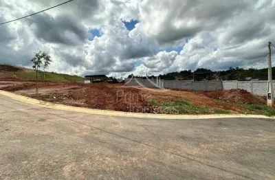 Terreno em condomínio fechado à venda na Avenida P.L. do Brasil, Portão, Arujá