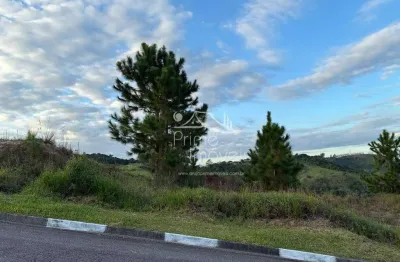 Terreno para venda no condomínio real park santa isabel