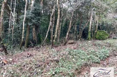 Terreno à venda na Rua Recanto da Mata, Caucaia do Alto, Cotia