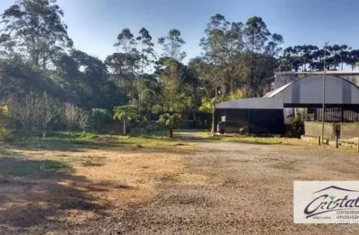 Terreno à venda, 2500 m²  - jardim elias - cotia/sp