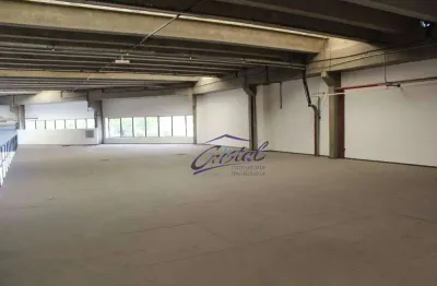 Barracão / Galpão / Depósito para alugar na Rua Marina Ciufuli Zanfelice, 280, Lapa, São Paulo