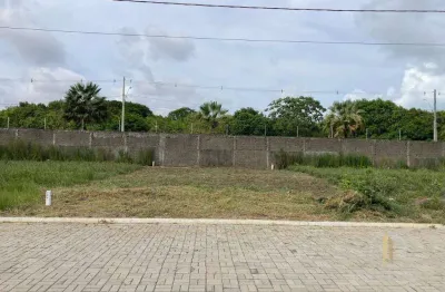 Terreno à venda, 200 m² por r$ 230.000,00 - barra de gramame - joão pessoa/pb