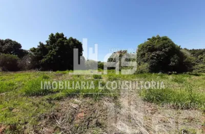 Fazenda à venda em Padre Nóbrega, Marília 