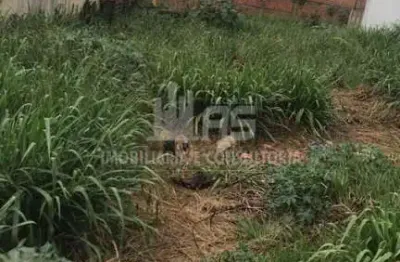 Terreno à venda no Alto Cafezal, Marília 