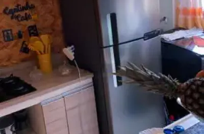 Apartamento com 2 quartos à venda na Rua Dos Ipaas, Vila das Flores, Betim