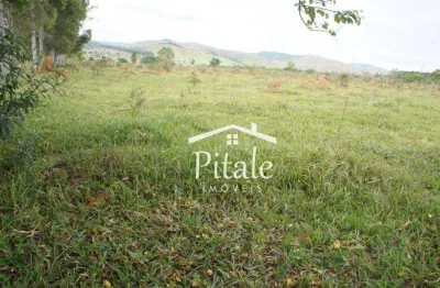 Terreno à venda, 800000 m² por r$ 24.000.000,00 - moreira césar - pindamonhangaba/sp